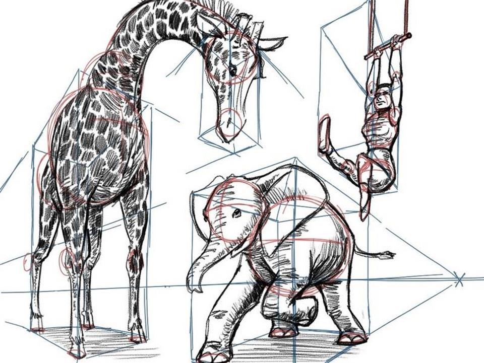 /Portals/39/NADevEventsImages/Fundamentals of Drawing Image_480.jpg